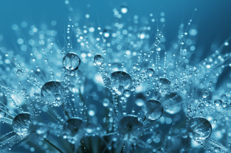 Qu'est-ce que l'acide hyaluronique : Guide complet 2025